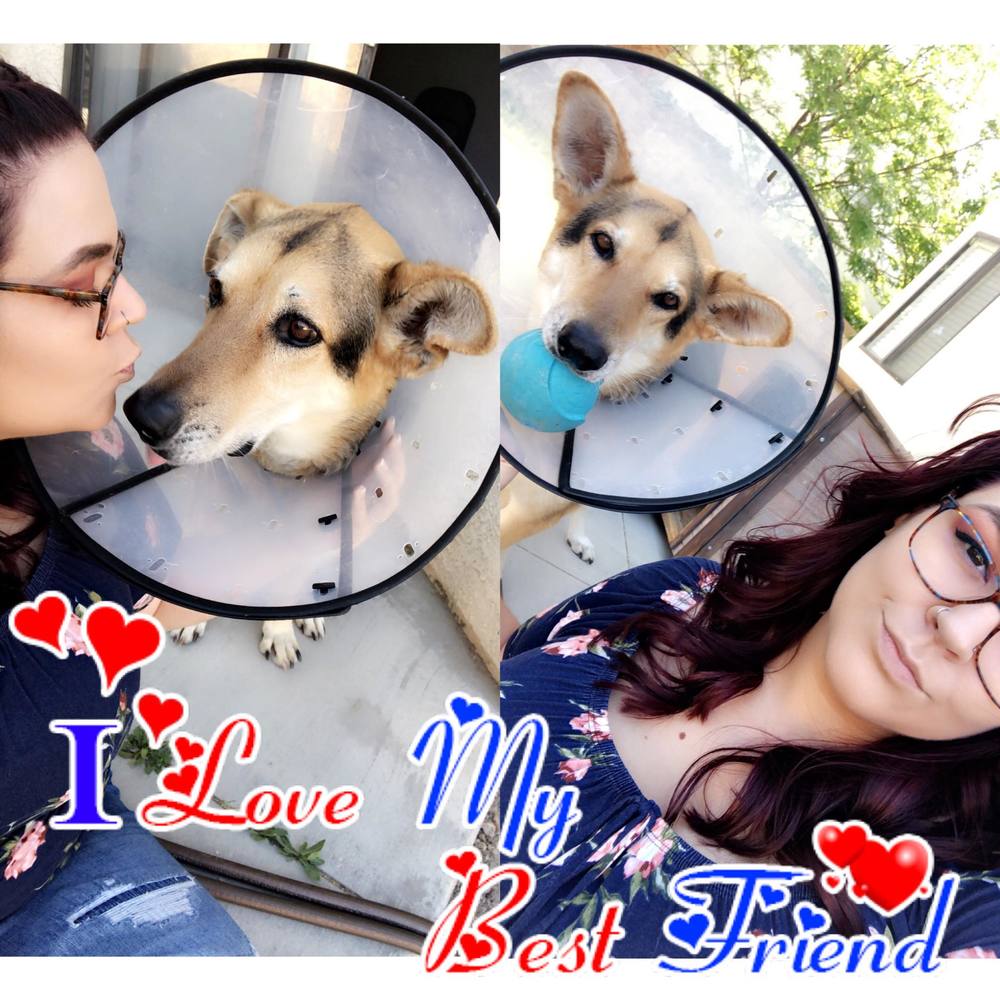 Meet your Posher, Raylene